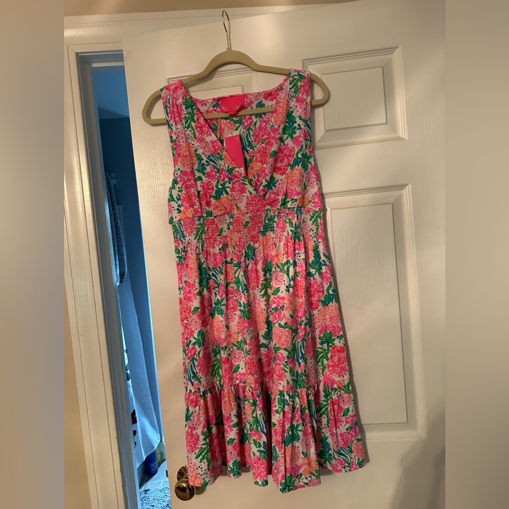 Beautiful Brand New Lilly Pulitzer Vivette Dress!